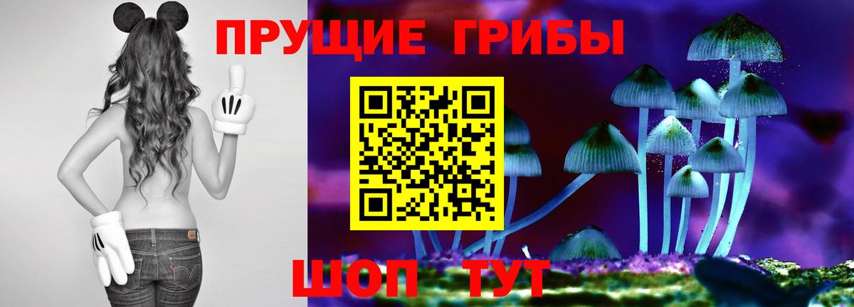 Галлюциногенные грибы Psilocybe Минусинск